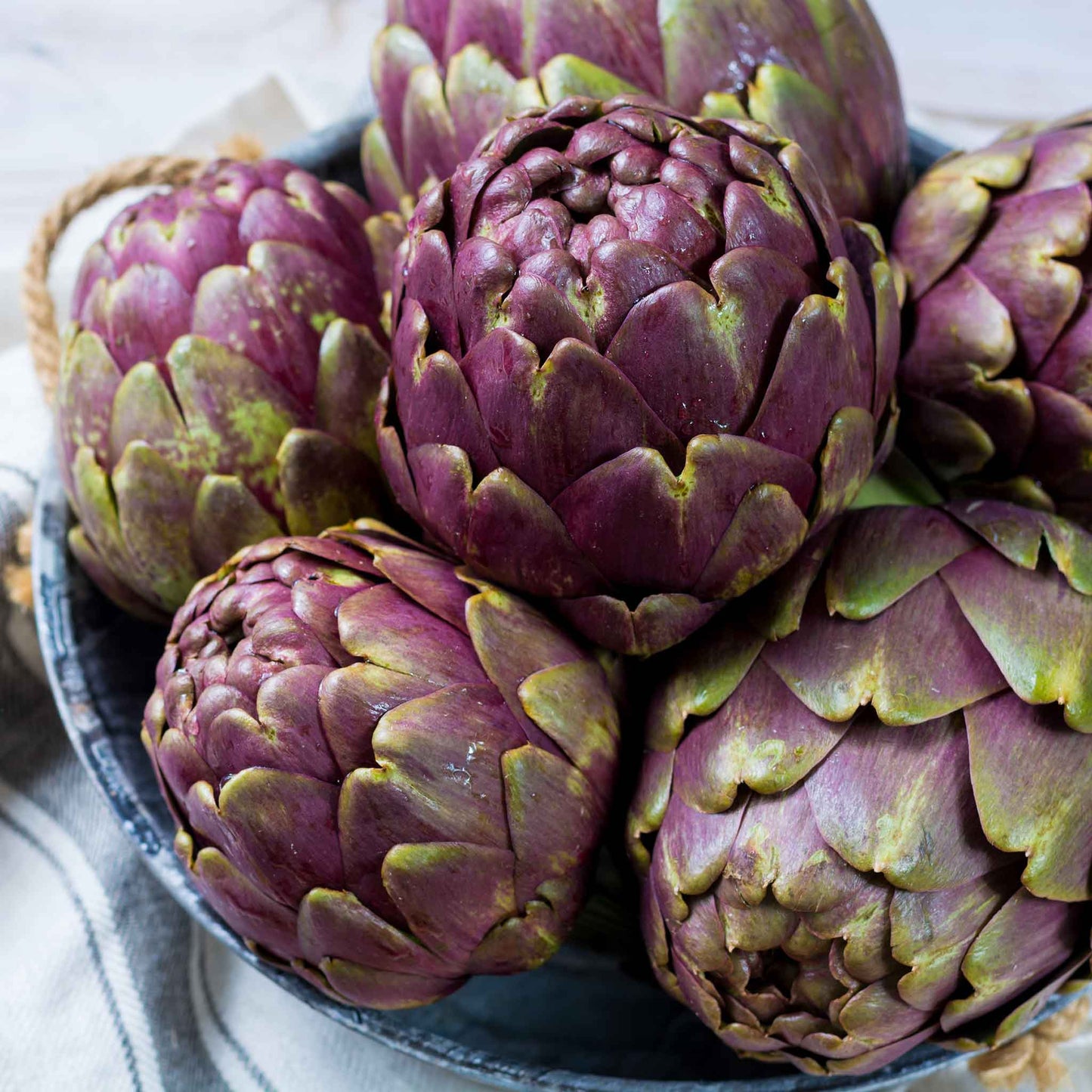 artichoke purple globe