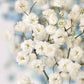 babys breath snowflake