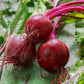 beet early wonder