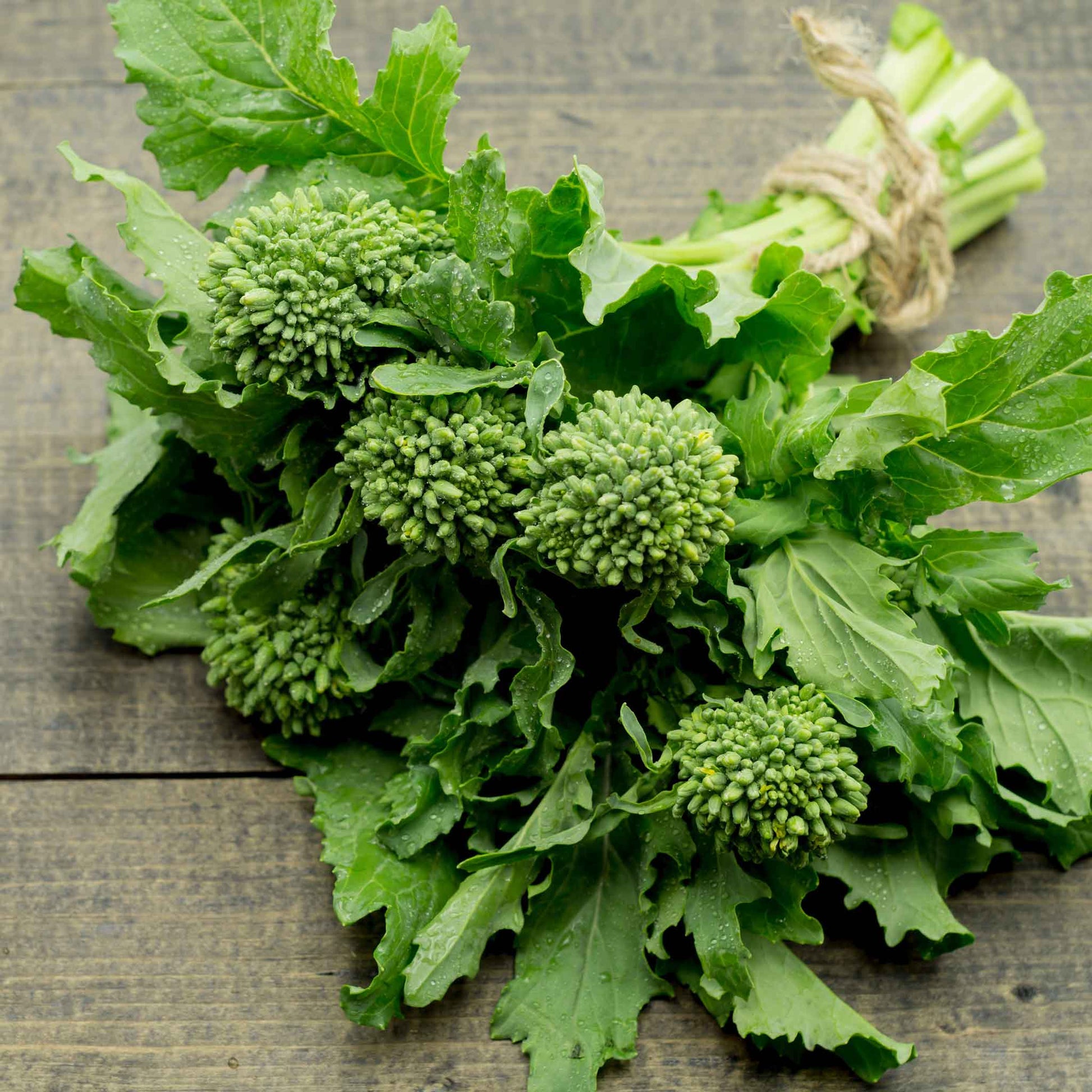 brocoli raab spring rapini