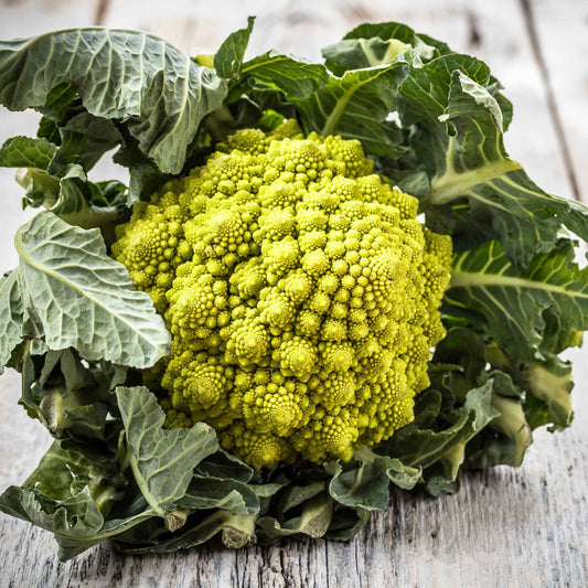 broccoli romanesco