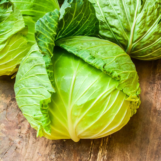 cabbage copenhagen market