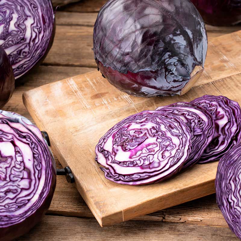 cabbage organic red acre | copyright: Floramedia UK Ltd