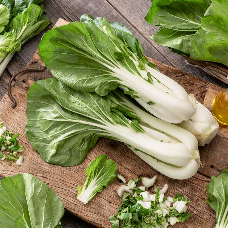 cabbage pak choy white stem | copyright: Floramedia UK Ltd