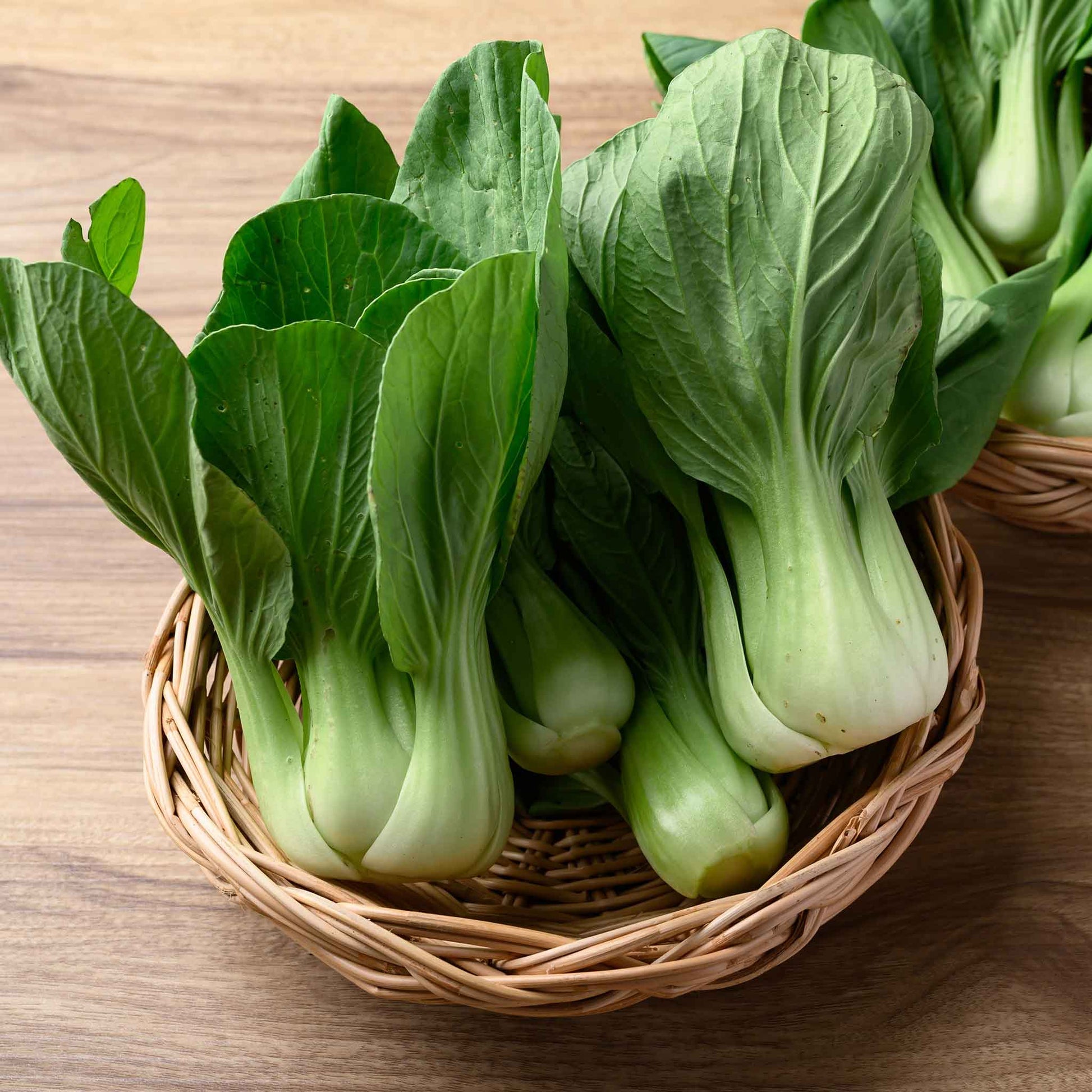 cabbage pak choy white stem