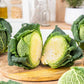 cabbage savoy | copyright: Floramedia UK Ltd