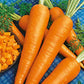 carrot danvers