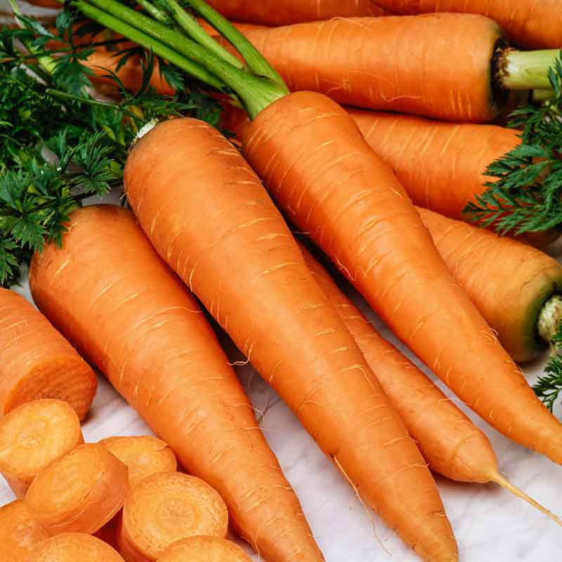 carrot organic danvers | copyright: Floramedia UK Ltd