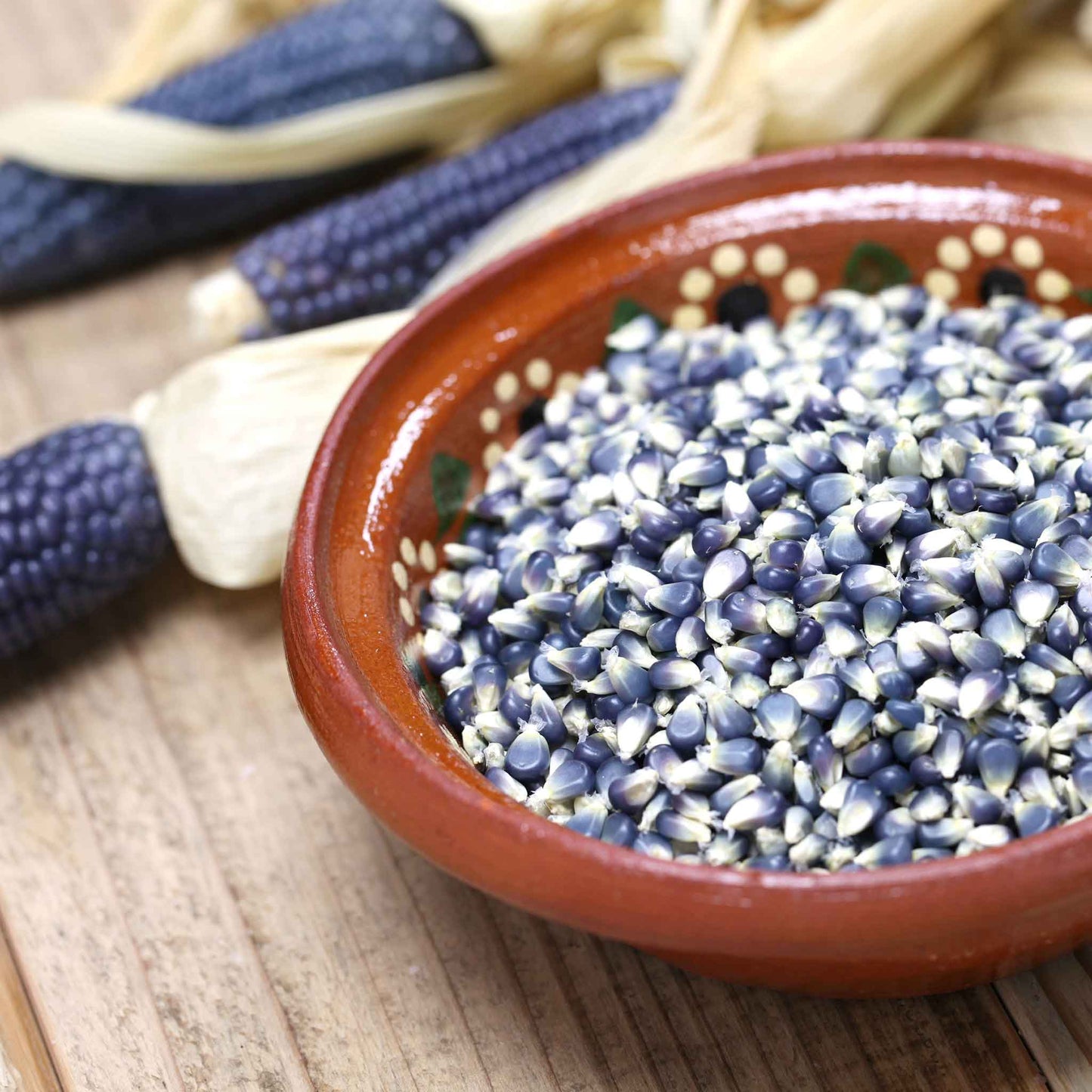 corn blue hopi