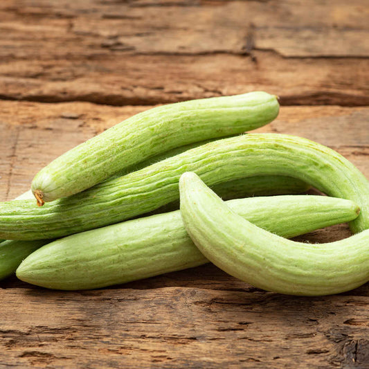 cucumber armenian pale green