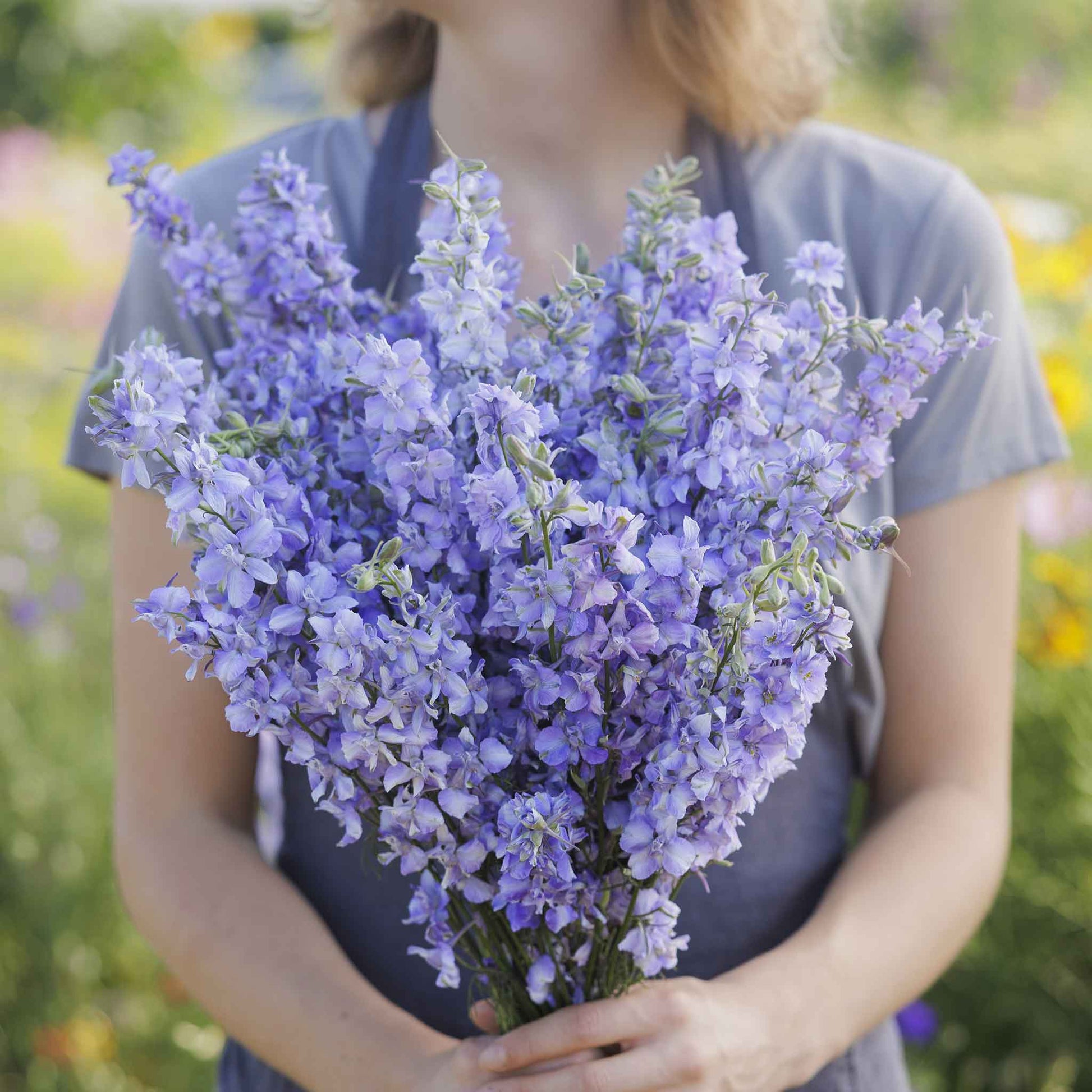 delphinium blue bell