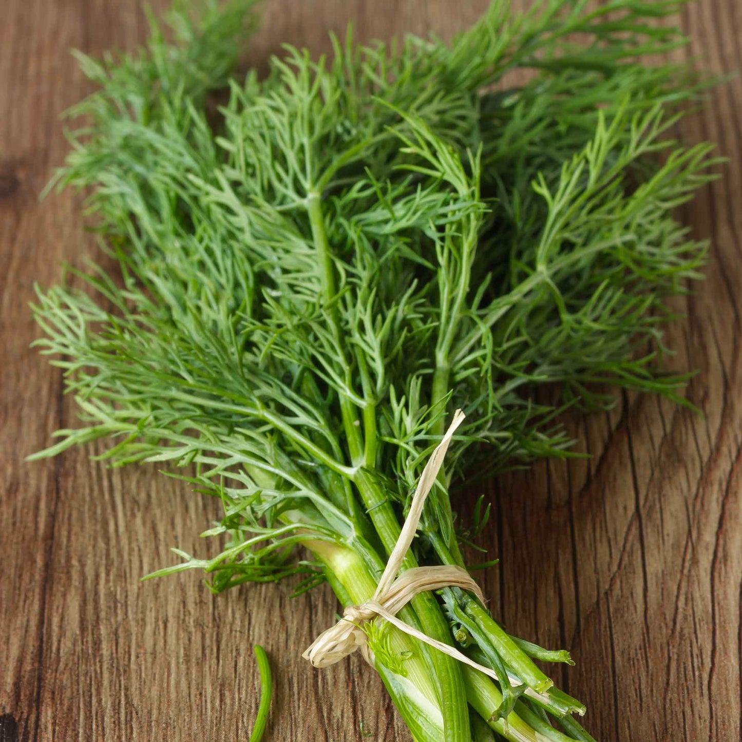 dill bouquet