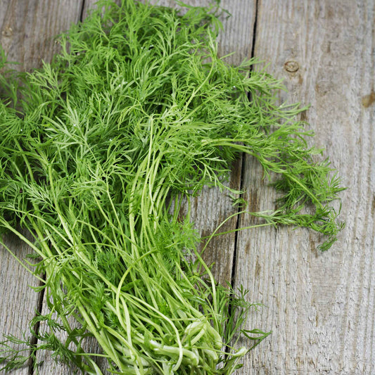 dill bouquet organic