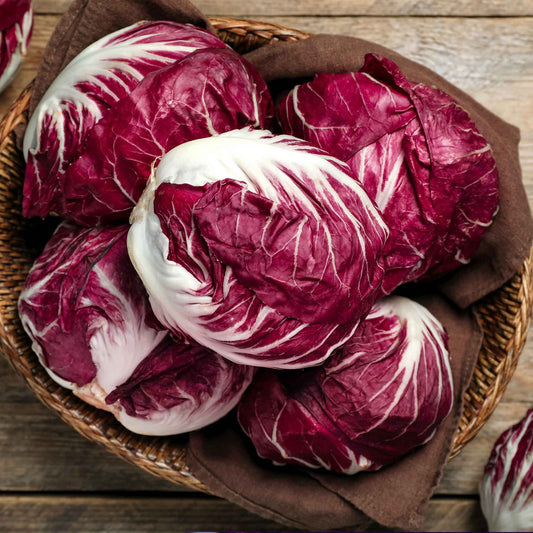 endive radicchio rossa di verona