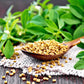 fenugreek