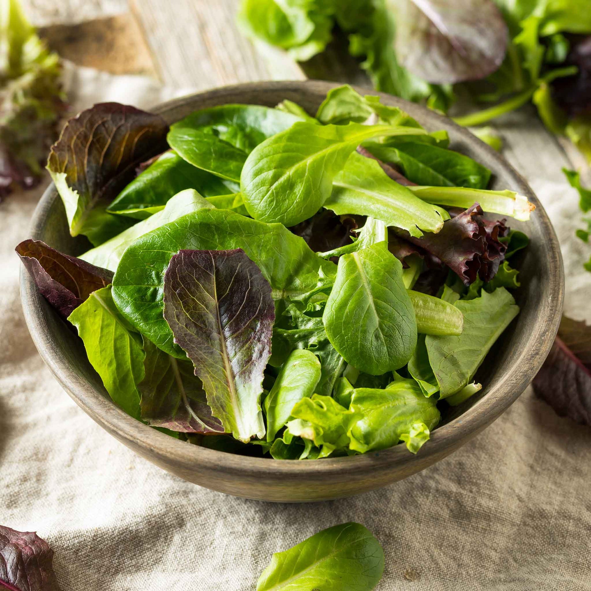 lettuce tricolor romaine