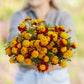 marigold tiger eyes