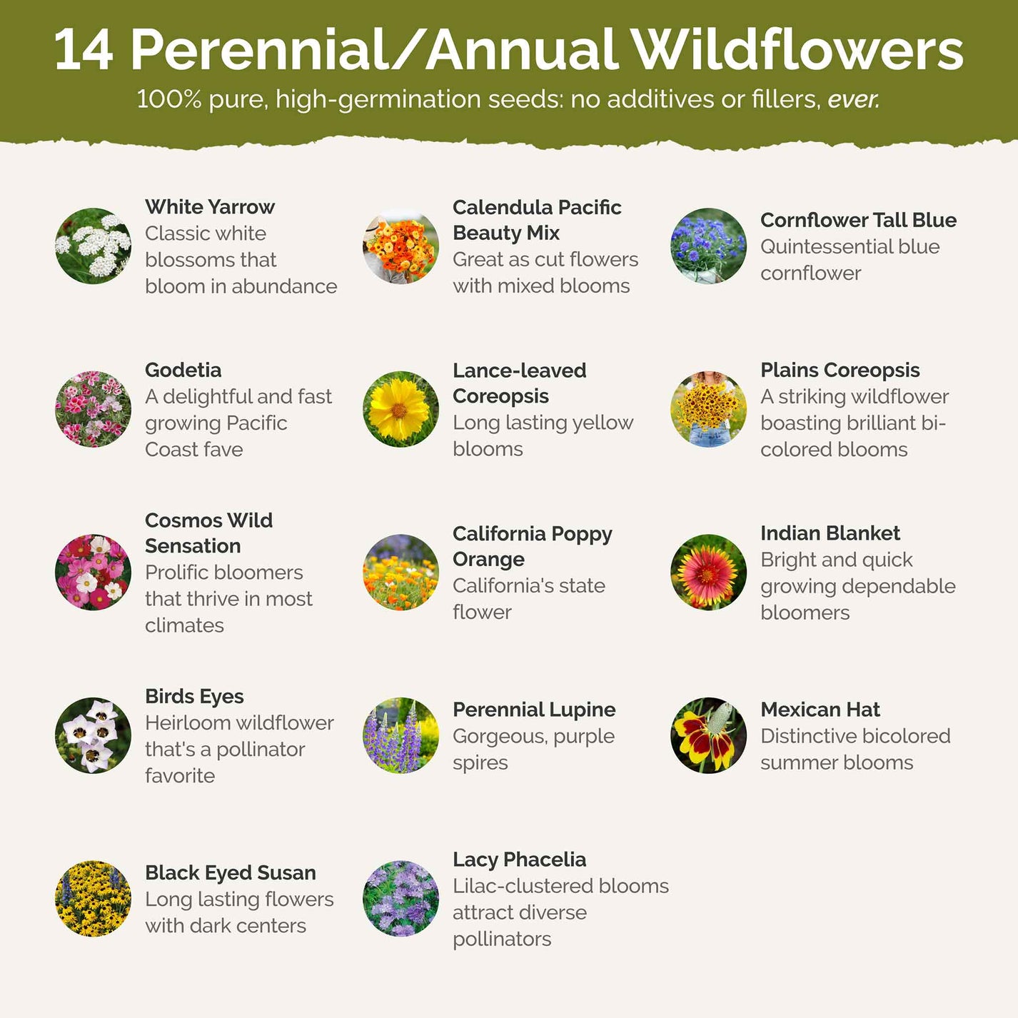 North Dakota Wildflower Seed Mix | Bulk Seed Store