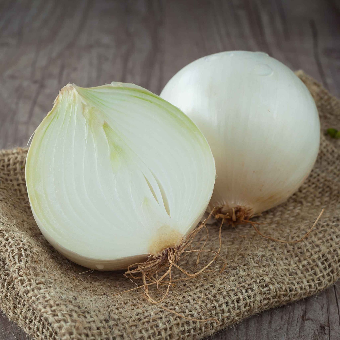 onion white sweet spanish