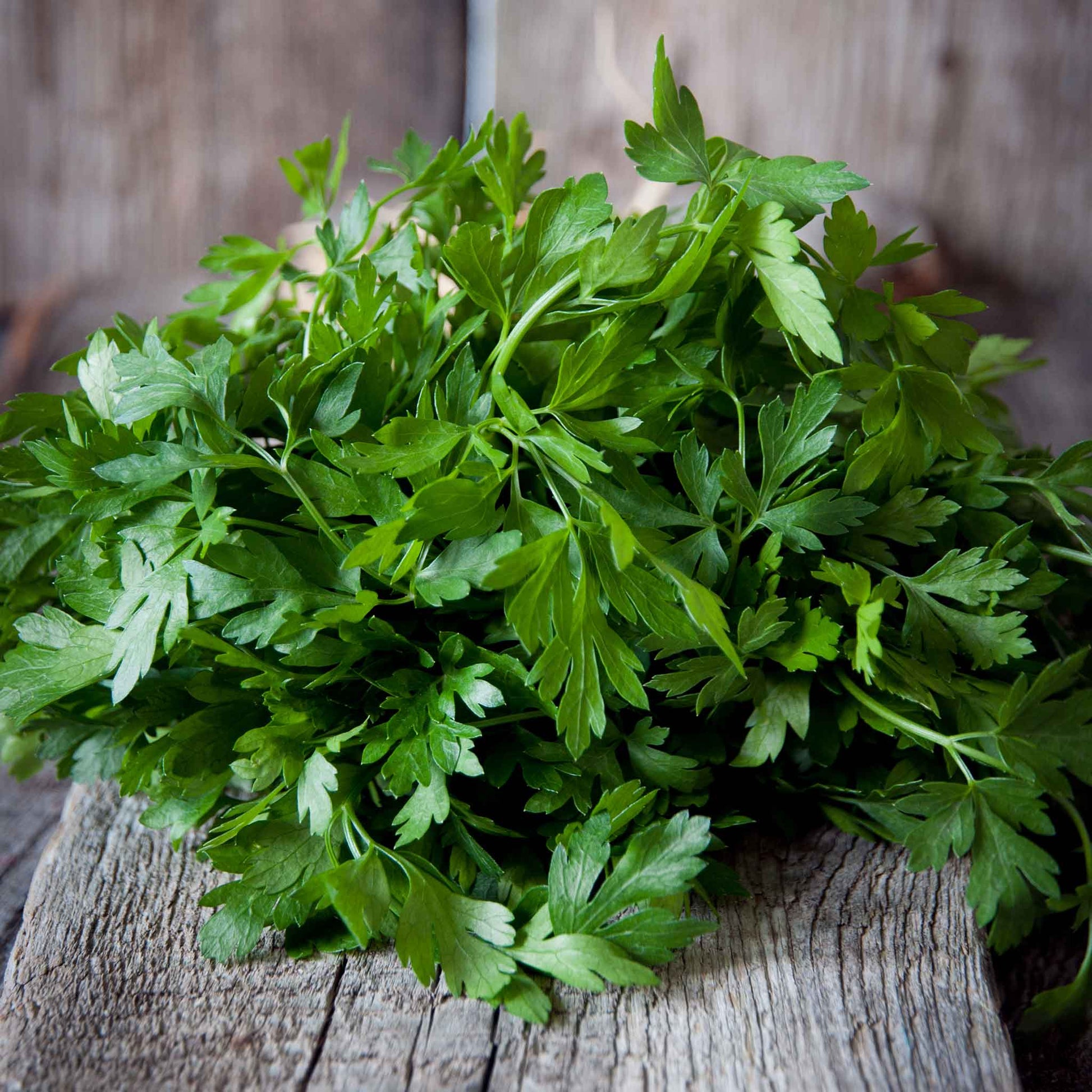 parsley organic italian