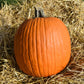 pumpkin organic jack o'lantern