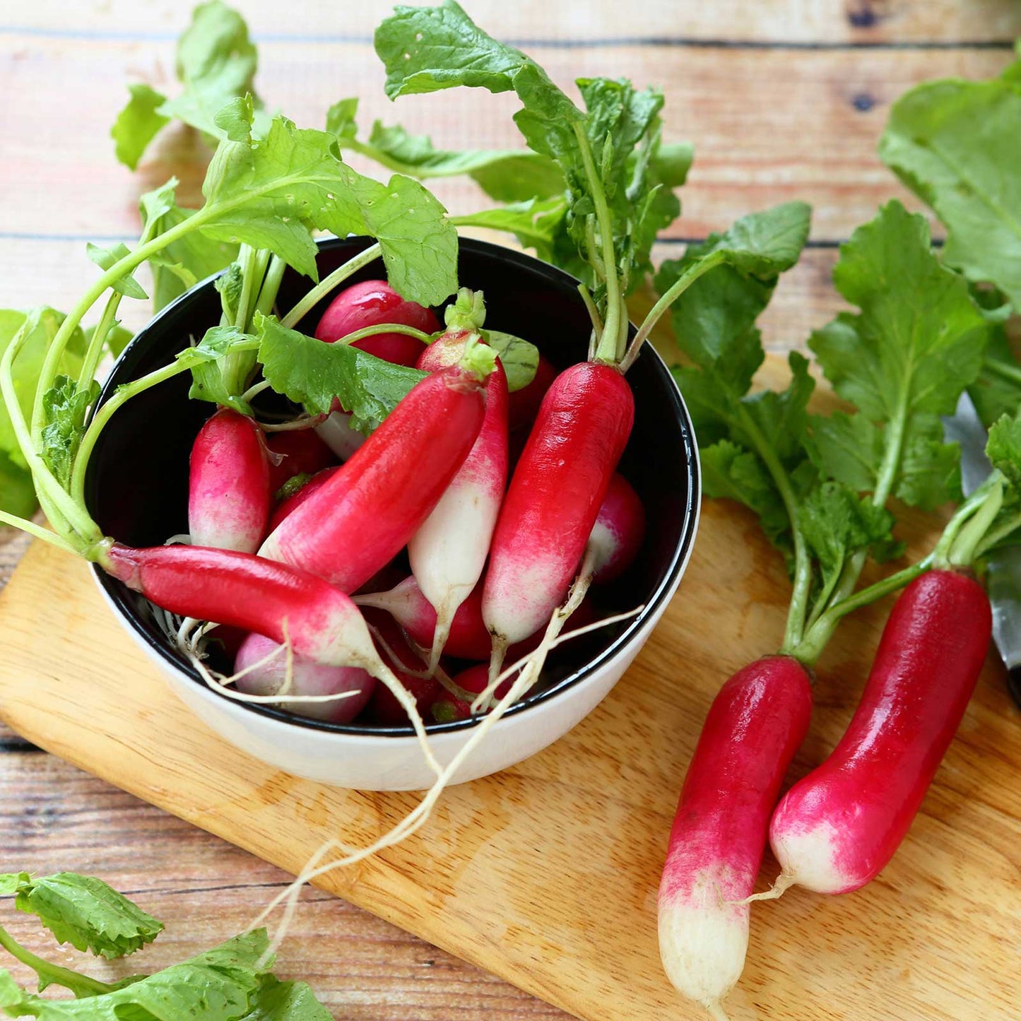 radish french breakfast