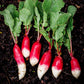 radish french breakfast