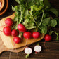 radish organic cherry belle