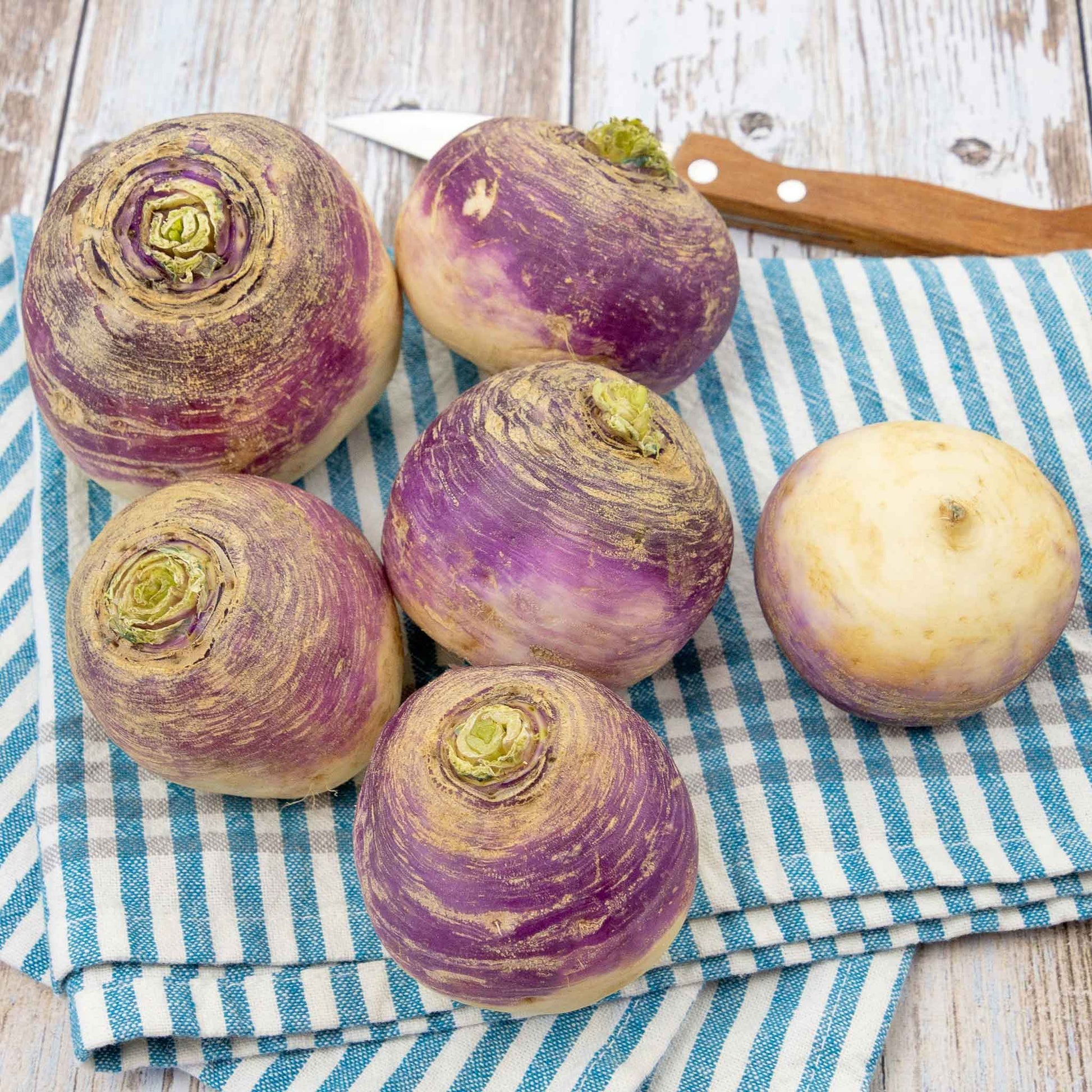 rutabaga american purple top