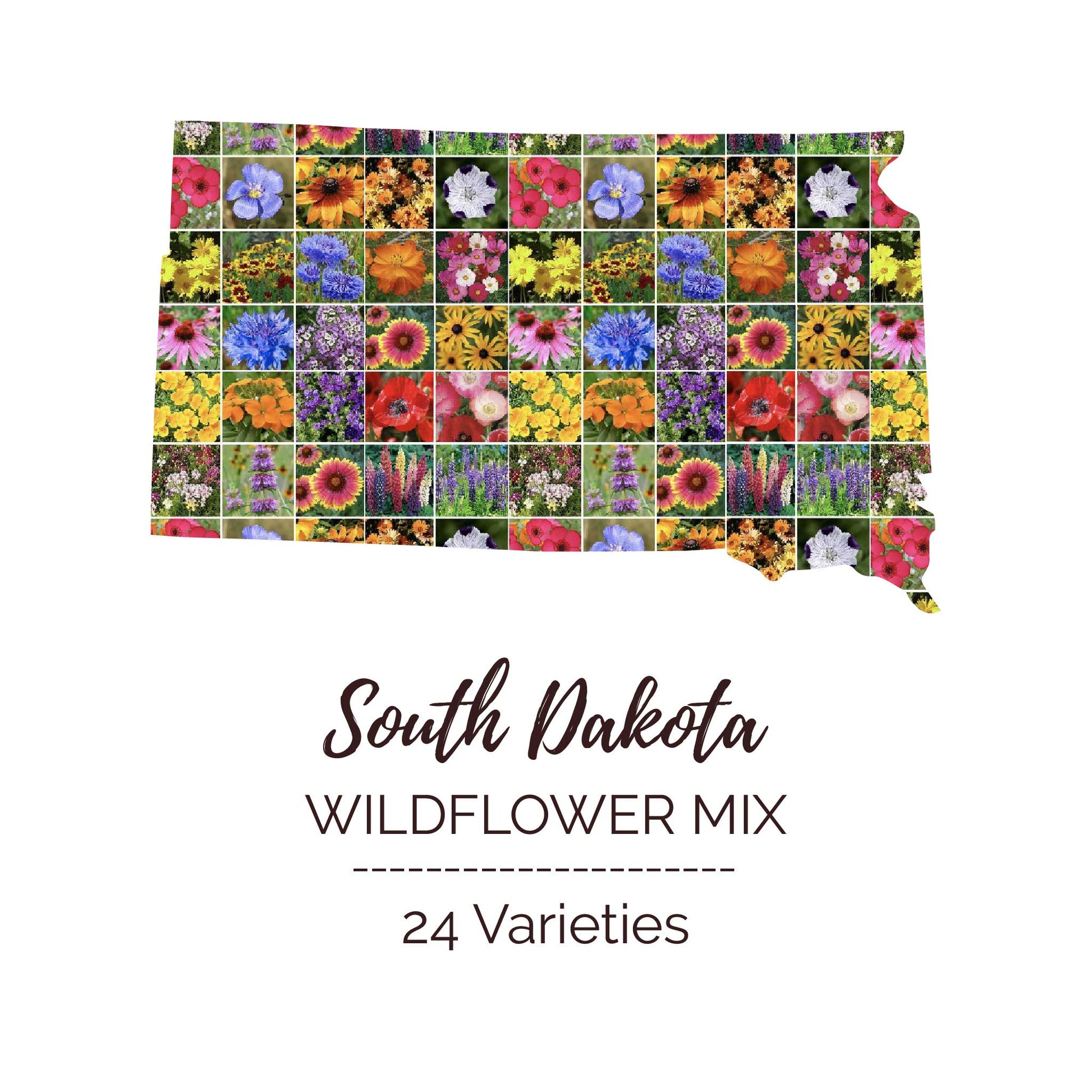 south dakota mix