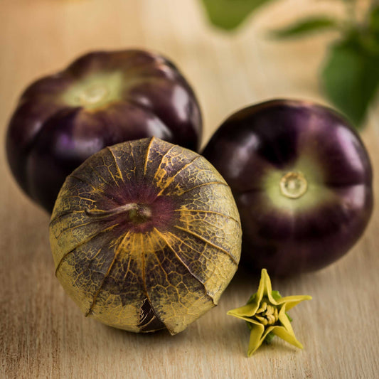 tomatillo purple