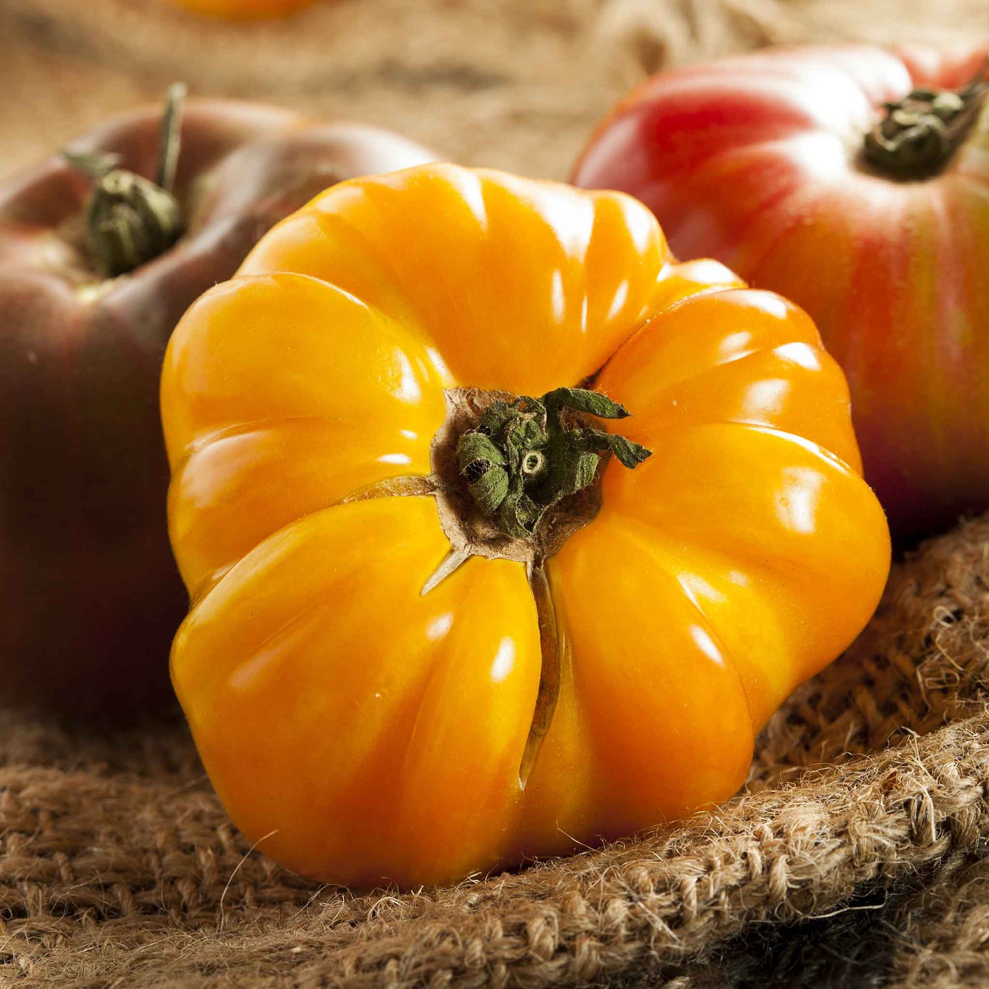 tomato organic amana orange