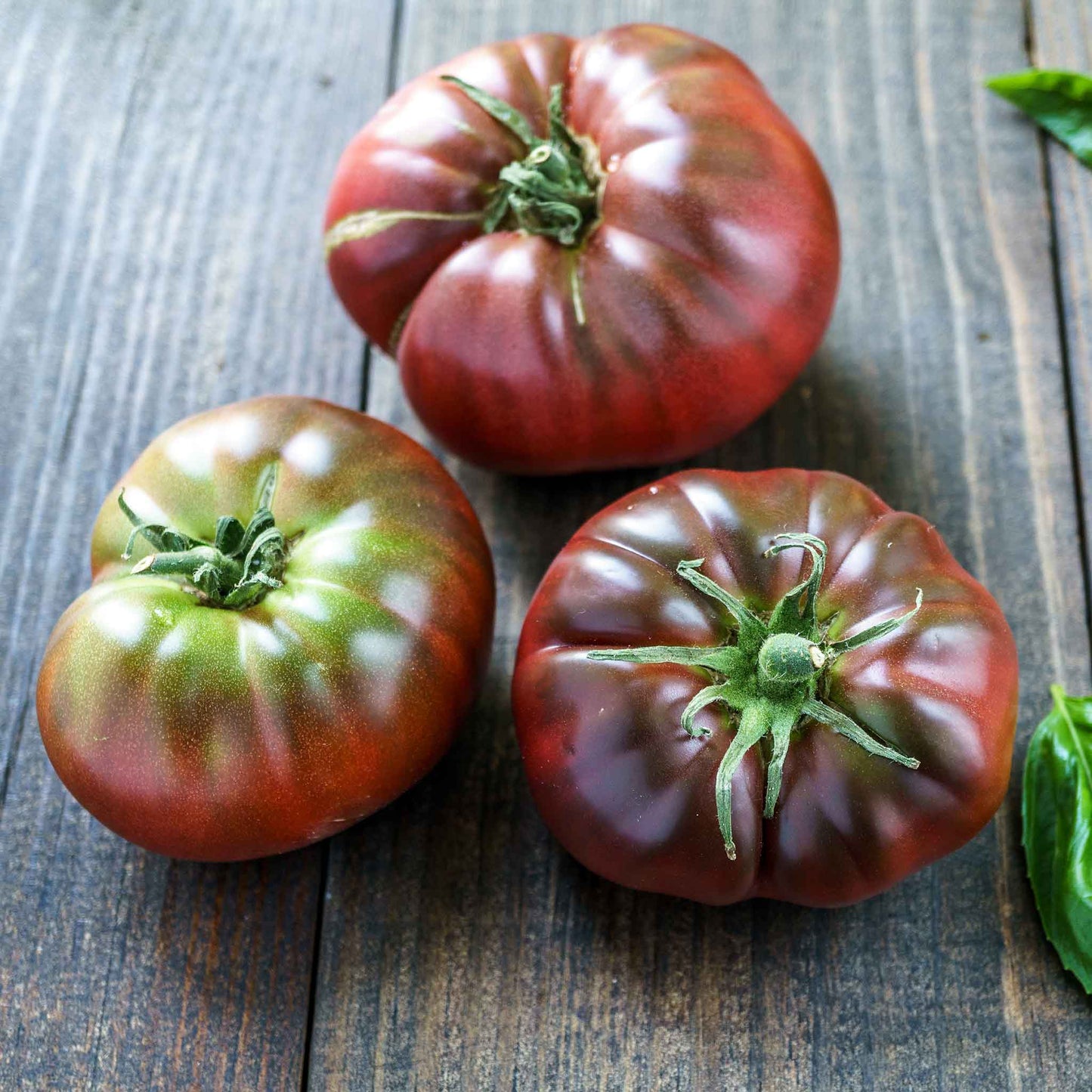 tomato black brandywine