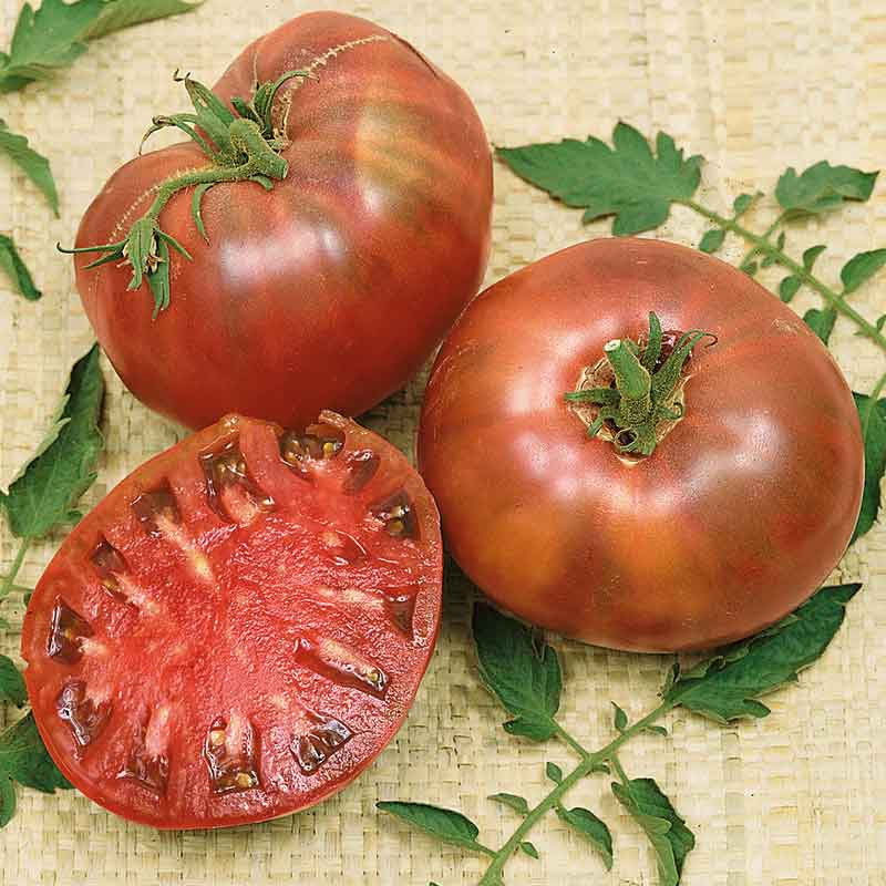 tomato cherokee purple