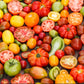 tomato heirloom rainbow mix