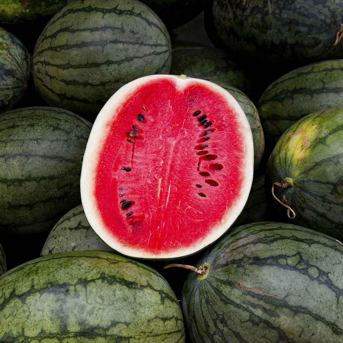 watermelon black diamond