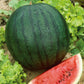 watermelon florida giant