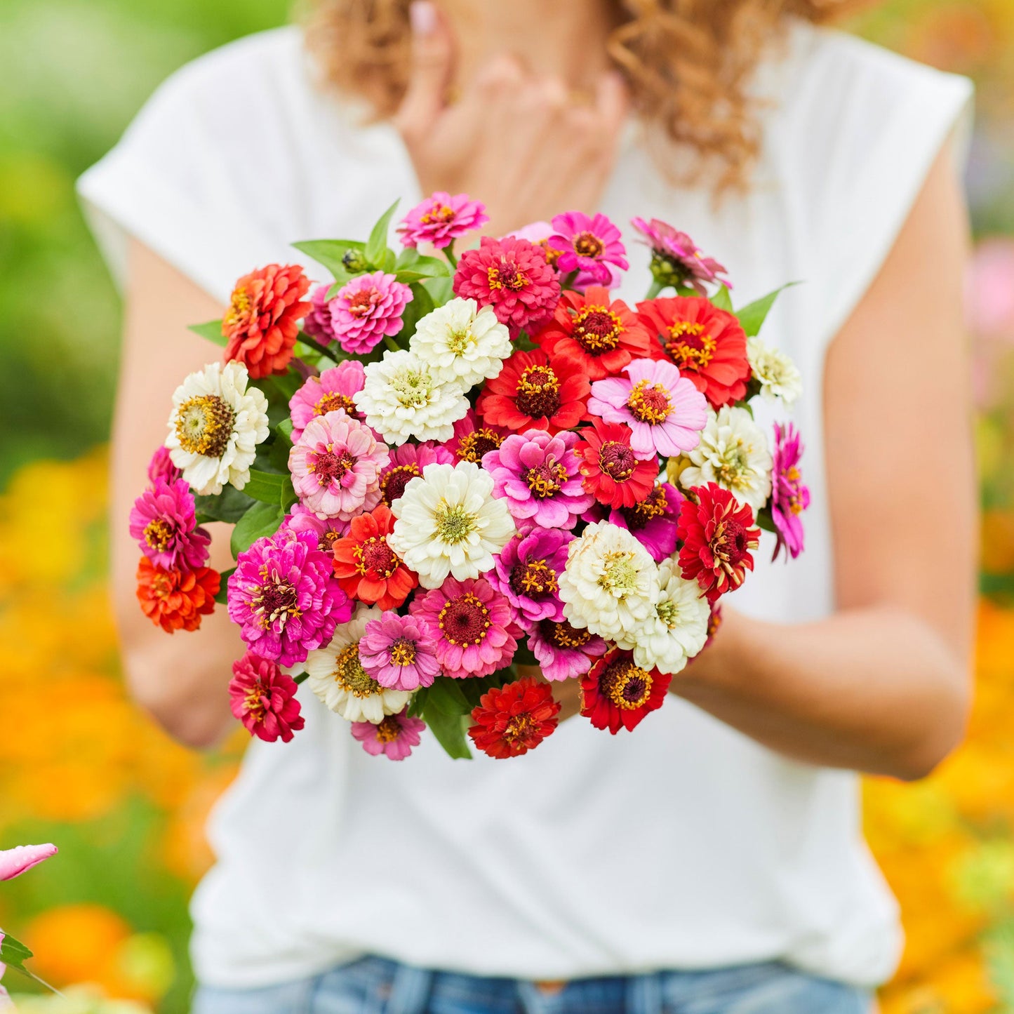 zinnia thumbelina 